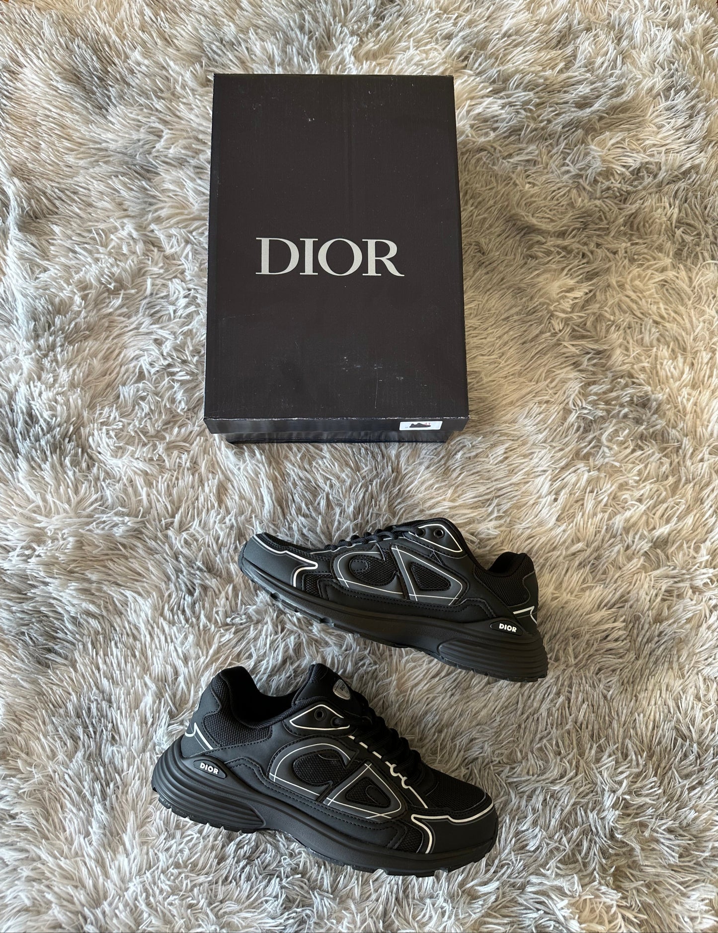Zapatillas Dior B30